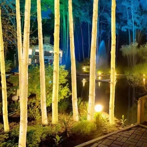 Phát Sáng Bạch dương thân cây đèn 1m 2M 2.5M 3m 4m cao sợi thủy tinh nhựa mô phỏng Bạch Dương dẫn ánh sáng cho đường phố hội trường vườn Bạch Dương ánh sáng - Product Image 1