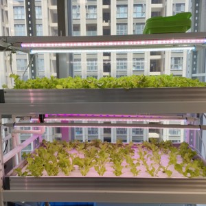 Système de culture hydroponique EBB pour pépinière, structure en PVC, irrigation multicouche, semis, micro-légumes, culture de légumes, étagère, pompe - Product Image 2