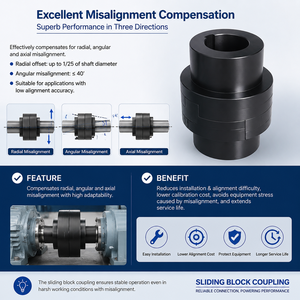 Acoplamientos Deslizantes Cruzados OEM Personalizados de Acero 45, Ejes de Conexión Ajustables Desmontables, Diámetro de 20 mm, 250 RPM para Mezcladoras y Transportadores - Product Image 3