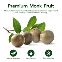 CHTNature OEM Extrait de fruit de moine Mogroside V Poudre Organique Édulcorant de fruit de moine d'érythritol