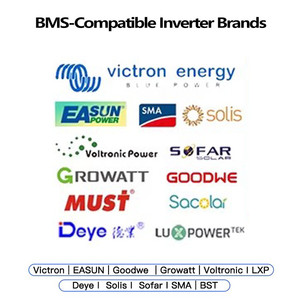 Batterie LiFePO4 modulaire avec logo personnalisé, pack de batteries LiFePO4 OEM ODM 51,2 V 48V 400Ah pour système d'énergie solaire - Product Image 5