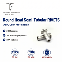 Rivets semi-tubulaires à tête ronde en laiton TianFang pour la production de barres omnibus électriques, finition nickelée, approvisionnement stable par lots