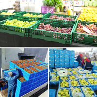 Caisses en plastique pliables en gros, caisses pliantes pour l'agriculture, fruits, légumes, logo personnalisé, fabricant de caisses pliables