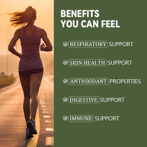 لواكة أوراق المولين لصحة الجهاز التنفسي والحصانة والعافية الشاملة تعزز صحة الشعب الهوائية مكملات أوراق الموليلين للرئة - Product Image 6