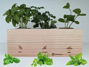 Kit de démarrage de jardin d'herbes classique, <span class=keywords><strong>basilic</strong></span>, fleurs artificielles, pots DIY, terreau, design unique pour la maison, la cuisine, le bureau - Product Image 5