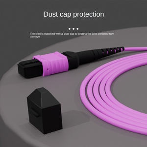 <span class=keywords><strong>MPO</strong></span>-<span class=keywords><strong>MPO</strong></span> 40g 100g đa sợi Jumper cáp 10 Gigabit 8 lõi 12 lõi bó cho trung tâm dữ liệu IDC IP Mạng sợi cáp quang - Product Image 3