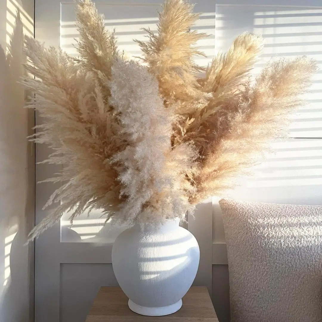 Pampas Grass Wholesale Boho Wedding Decor Large Plume Dry Pampas Grass Flower Natural Real Preserved Dried Pampas Grass