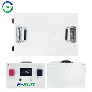 ESUN 공장 OEM 24V 200Ah 리튬인산철 배터리 내장 BMS 태양광 리튬인산철 가정용 저장 리튬 배터리 팩 - Product Image 4