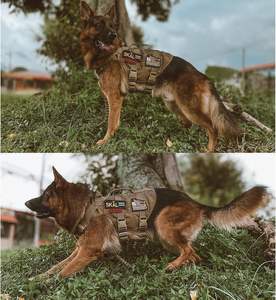 Free sample long-lasting tactical vest for <b>dogs</b>, heavy-duty outdoor pet training chest <b>dog</b> harness, and <b>dog</b> cooling coat - Product Image 4