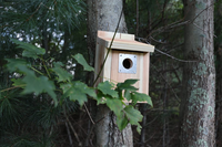 Vente flash - Décoration de jardin - Nid d'oiseaux en bois de sapin de qualité supérieure - Boîte de nidification en bois naturel - Cage de reproduction pour oiseaux - Pour l'extérieur