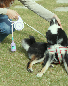 Dispensador de bolsas de basura para mascotas duradero portátil respetuoso con el medio ambiente con logotipo personalizable para caminar fácilmente al perro - Product Image 4