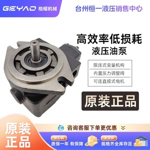 ปั๊มไฮดรอลิกแบบใบพัดปรับได้ Geyao รุ่น VP-15/20/30/40-FA3 กำลัง 2 แรงม้า สำหรับใช้งานในอุตสาหกรรม - Product Image 4