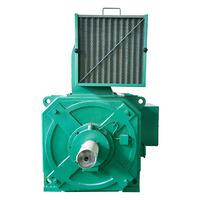 Z4-355-32 406KW 400V 608RPM IMB3 IC06 IP21S WPDJ MOTOR DC MOTOR Listrik DIGUNAKAN dalam PAKARAN LISTRIK