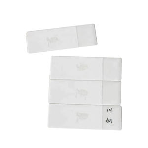 Portaobjetos de vidrio para microscopio esmerilado de biología inmunohistoquímico - Product Image 1