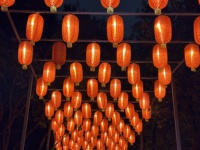 Orient-Laterne im chinesischen Design, wasserdicht, für den Außenbereich, beleuchtet, Weihnachtsbeleuchtung, Preis inklusive Licht für Weihnachten im Freien