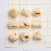 Gedroogde Lychee-stukjes zonder pitjes, knapperig lychee fruit voor sap/bakkerij/snacks/poeder, groothandel, 0% suiker, 0% vet
