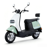 Skuter Listrik Mini Retro Bersertifikasi E-MARK 1500W Rem Cakram Depan Moped Komuter Wanita