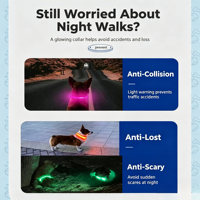 Collar de Perro LED Recargable por USB, con Luz para Caminar de Noche, Etiqueta de Identificación Reflectante, PVC Ecológico, Estilo Japonés y Coreano