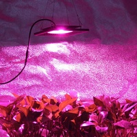 Lampu LED Grow Light Seri Platinum Canggih Spektrum Penuh Harga Terbaik dengan Dukungan Pembungaan, IP65 Aluminium