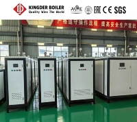 Harga Pabrik Generator Uap Listrik Kecil 18kW 24kW 36kW Tabung Api Vertikal Otomatis Tekanan Rendah Penggunaan Industri Baja