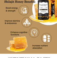 Bâtonnets de miel de Shilajit de l'Himalaya les plus vendus – Compléments alimentaires de haute qualité pour adultes