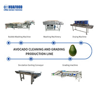 Fruitverwerkingsinstallatie machine avocado reiniging en sortering groenteverwerkings- en verpakkingslijn
