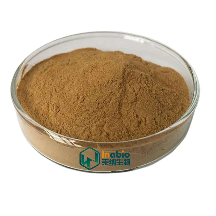 LYNA สารสกัดจากเห็ดแผงคอสิงโตขายร้อนบริสุทธิ์ 100% และผง Hericium erinaceus