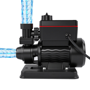 <span class=keywords><strong>Bomba</strong></span> de Agua de Alta Eficiencia PMZD-61 de 0.5HP, Bajo Consumo, Flujo Nominal de 1.4m³/h, Presión Nominal de 10m, para el Hogar - Product Image 1