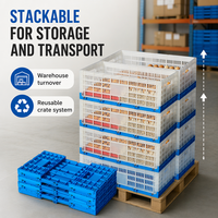 Boîte à œufs pliable en plastique avec logo personnalisé 630x330x257mm pour le transport et le stockage en vrac des œufs