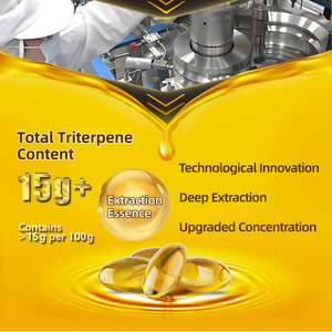 جودة عالية العضوية Ganoderma لوسيدوم جراثيم زيت سوفتجيل ريشي استخراج بذور عالية Triterpene البروتين الغنية استخراج - Product Image 3