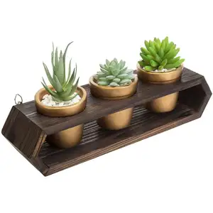 Support de jardinière décoratif en bois brun foncé brûlé Tailai avec 3 pots en béton de couleur laiton, décor mural ou design de table.