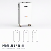 Batterie de rack de serveur 16,07 kWh pour stockage de ferme solaire, 51,2 V 314 Ah LiFePO4, compatible chargement en conteneur