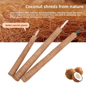 Estacas de Jardín Extensibles de Madera con Fibra de <span class=keywords><strong>Coco</strong></span> para Plantas Trepadoras de <span class=keywords><strong>Interior</strong></span> y Balcón, Modelo 6, Suaves, Suministro del Fabricante - Product Image 2