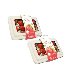 Pulp Molded Fruit Packaging Tray Box Biodegradable Custom Recycled Paper Kraft Paper Sustainable Packaging S1 Agriculture Brown