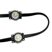DC24V 100ft avec 60 LEDs RGBIC + blanc chaud/froid 5 couleurs adressables LED lumières extérieures permanentes IP68 couleur pleine maison avant-toit Lig