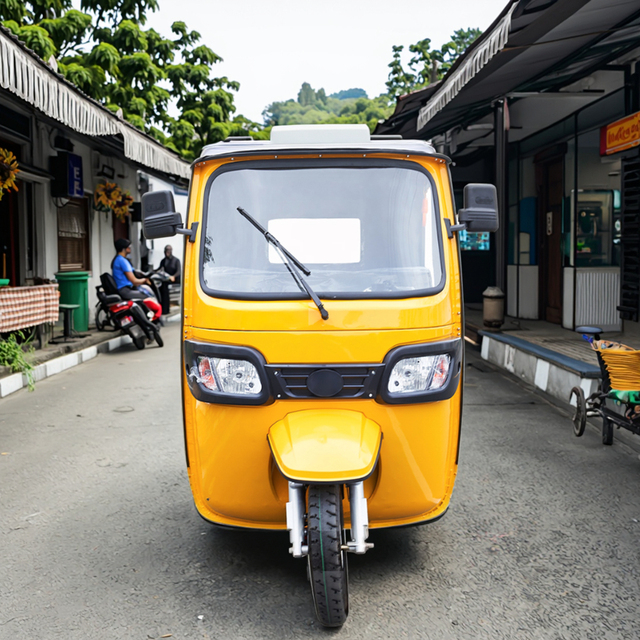 Adult Big Wheel Assisted Passenger Electric Rickshaw | Open Electric Tricycle Tuk Tuk for Thailand and China Market