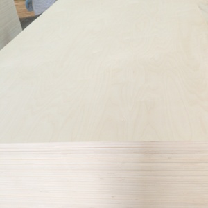 Panneau océanique en bouleau multicouche en bois massif <span class=keywords><strong>contreplaqué</strong></span> marin de bouleau importé pour couper la table d'armoire - Product Image 1