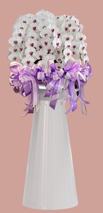 Bandeja de exhibición de orquídeas F313 para promociones de centros comerciales y exposiciones de temporada - Product Image 5