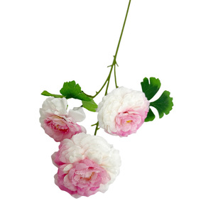 Flores Artificiales de Peonía Koi de 65 cm de Altura, Simulación de Seda, Decoraciones para Bodas - Product Image 4