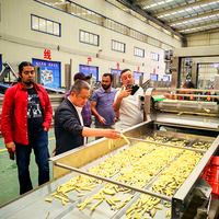 Ligne de production de frites industrielles entièrement automatique avec friteuse en acier inoxydable 304, capacité de 50 à 2000 kg/h