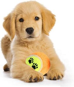 Ballons de tennis pour chiens personnalisés, mini, en coton écologique, couleurs pastel, avec empreintes de pattes, jouet interactif pour chien, vente chaude - Product Image 5