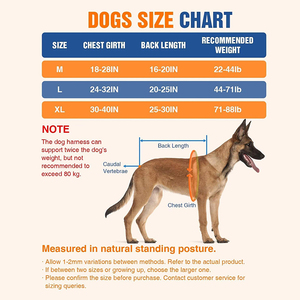Conjunto de Arnés <span class=keywords><strong>Canicross</strong></span> para Perro con Cinturón y Correa Amortiguadora, Arnés Ajustable para Correr, Senderismo y Ciclismo para <span class=keywords><strong>Perros</strong></span> Grandes - Product Image 6