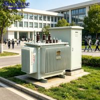 SinoShine Transformers Peralatan Listrik Trafo Daya 35kV Tiga Fasa Terendam Minyak Distribusi 60Hz