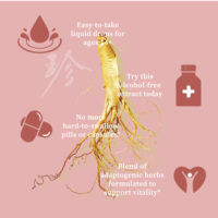 Offre Spéciale 100% pur extrait liquide de ginseng coréen supplément d'huile à base de plantes de qualité alimentaire pour stimuler l'énergie soutien immunitaire vitamine active