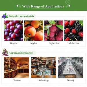 ถังหมัก2000L ทรงกรวยสำหรับหมักไวน์ - Product Image 6