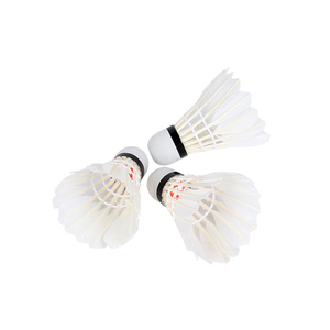 Cầu Lông Có Thể Gập Lại Bán Sỉ Cầu Lông Cầu Lông Rsl - Product Image 4