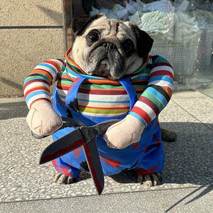 Divertente Costume <span class=keywords><strong>di</strong></span> Halloween Scissorhands per Cani e Gatti, Abbigliamento Spaventoso per Feste a Tema per Razze Piccole e Medie Blu - Product Image 2
