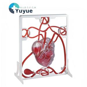 Modelo de Circulación Sanguínea Visible con Bomba, Estructura <span class=keywords><strong>del</strong></span> Corazón Humano, Enseñanza de <span class=keywords><strong>Ciencias</strong></span>, Experimento de Biología, Juguete Educativo - Product Image 1