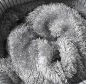 Nouveau Match rayé tricoté chapeau hommes velours laine casquette femmes chaud polaire doublure côtelé bonnets fausse fourrure hiver chapeaux <span class=keywords><strong>avec</strong></span> <span class=keywords><strong>pompon</strong></span> - Product Image 3