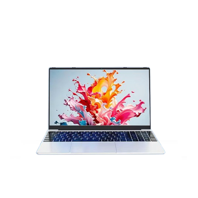 15.6" Multifunctional Gaming Laptop Intel N5095 16GB DDR4 SSD IPS Panel High Quality OEM Custom Aiopc